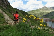 81 Botton d'oro con vista sul lago e verso il Pizzo del Becco